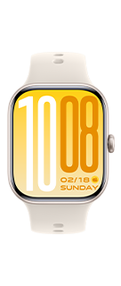 vivo WATCH GT 2
